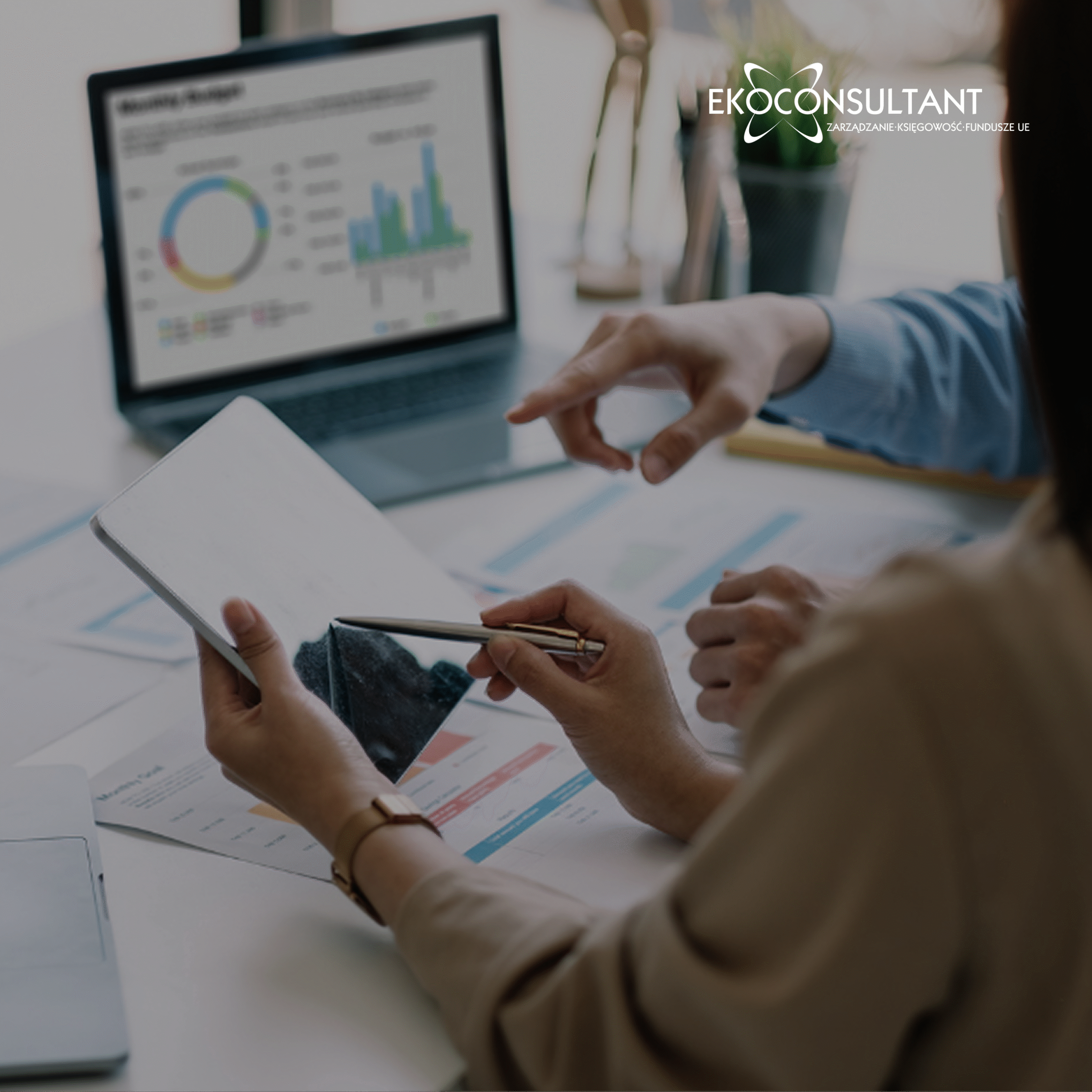 How to Prepare Your Company for Accounting System Implementation. A Practical Step-by-Step Guide